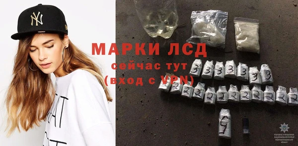 стаф Козловка