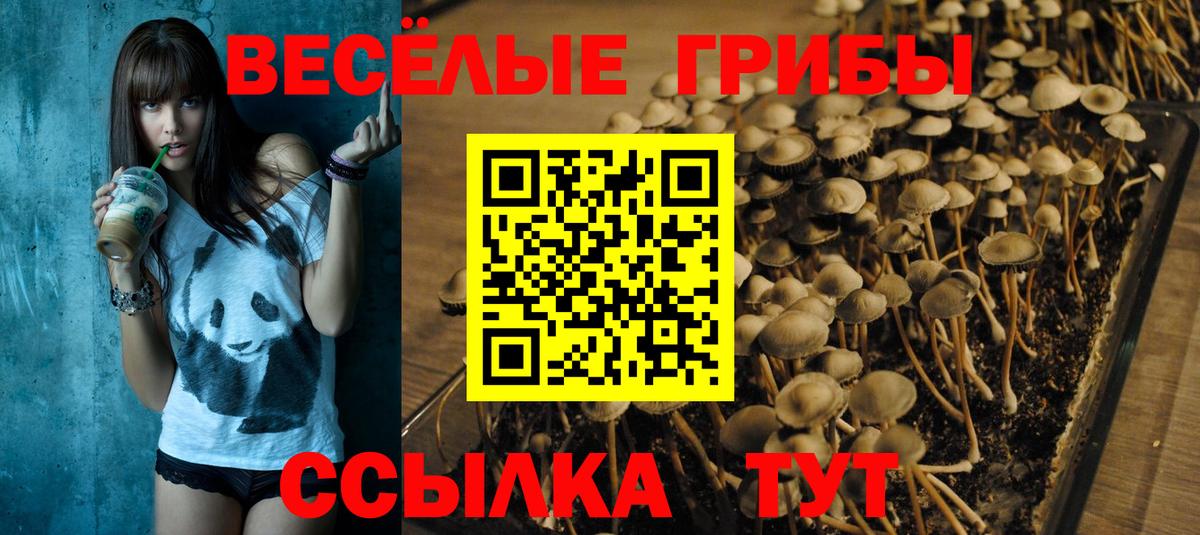 Галлюциногенные грибы мицелий Зеленогорск