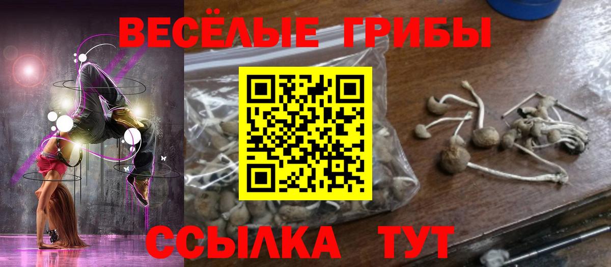 Зеленогорск  Галлюциногенные грибы мицелий  Вход с VPN 
